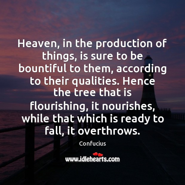 Heaven, in the production of things, is sure to be bountiful to Confucius Picture Quote