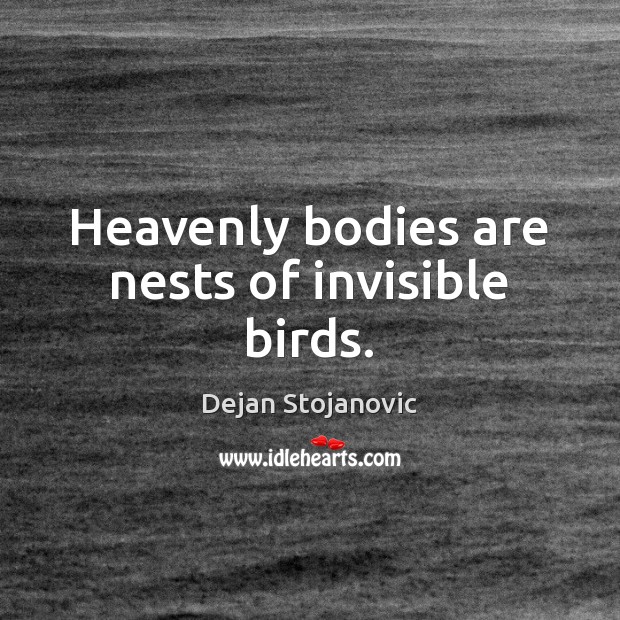 Heavenly bodies are nests of invisible birds. Dejan Stojanovic Picture Quote