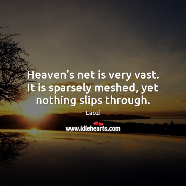 Heaven’s net is very vast. It is sparsely meshed, yet nothing slips through. Laozi Picture Quote
