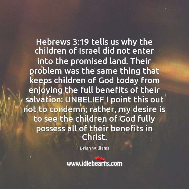 Hebrews 3:19 tells us why the children of Israel did not enter into Brian Williams Picture Quote