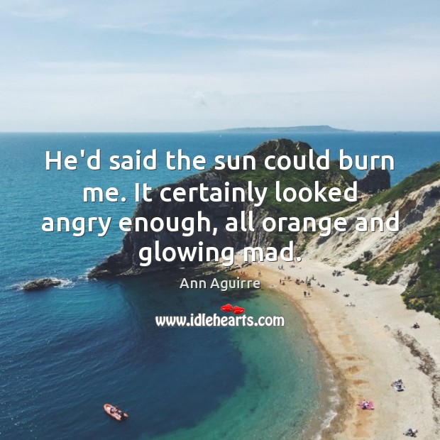He’d said the sun could burn me. It certainly looked angry enough, Ann Aguirre Picture Quote