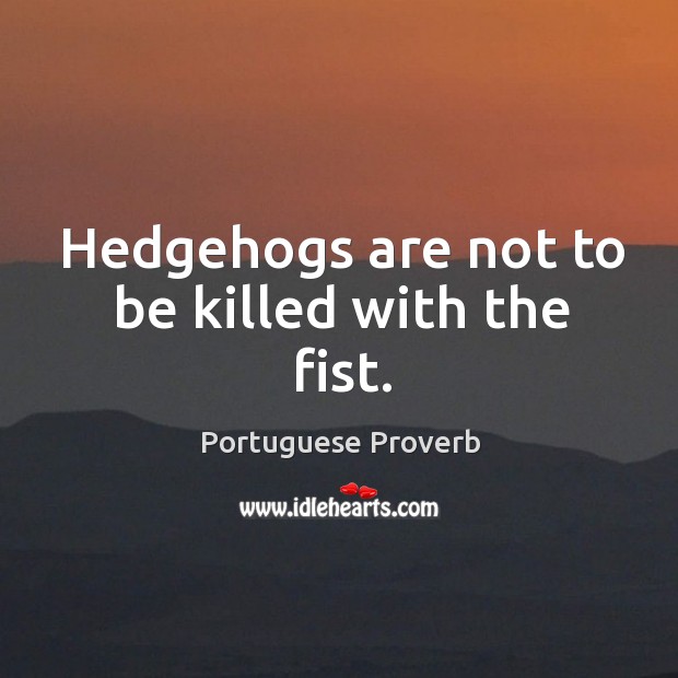 Hedgehogs are not to be killed with the fist. Portuguese Proverbs Image