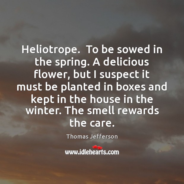 Heliotrope.  To be sowed in the spring. A delicious flower, but I Flowers Quotes Image