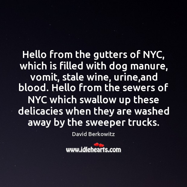 Hello from the gutters of NYC, which is filled with dog manure, David Berkowitz Picture Quote