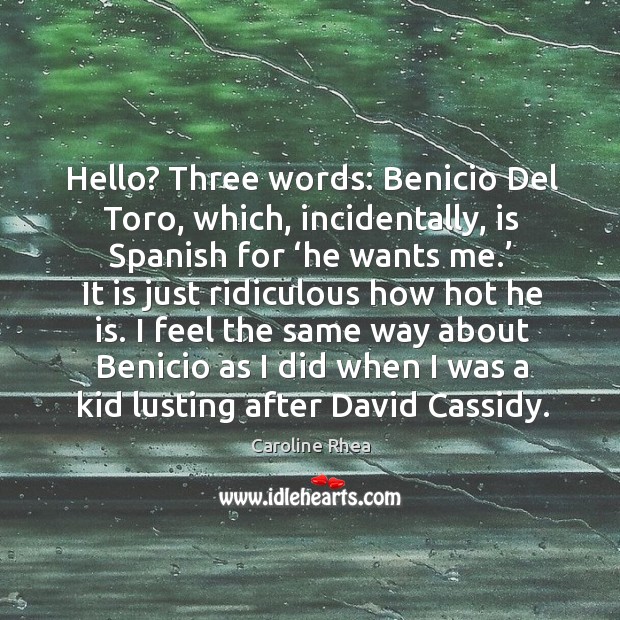 Hello? three words: benicio del toro, which, incidentally, is spanish for ‘he wants me.’ Caroline Rhea Picture Quote