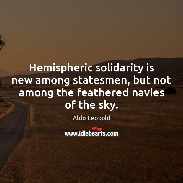 Hemispheric solidarity is new among statesmen, but not among the feathered navies Aldo Leopold Picture Quote
