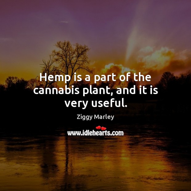 Hemp is a part of the cannabis plant, and it is very useful. Ziggy Marley Picture Quote
