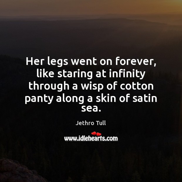 Her legs went on forever, like staring at infinity through a wisp Jethro Tull Picture Quote