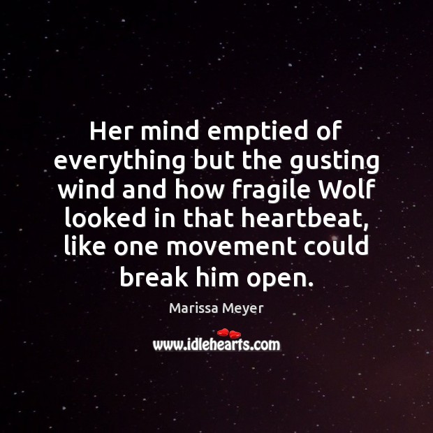 Her mind emptied of everything but the gusting wind and how fragile Marissa Meyer Picture Quote