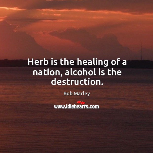 Herb is the healing of a nation, alcohol is the destruction. Alcohol Quotes Image