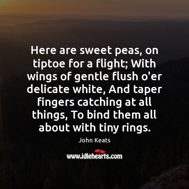Here are sweet peas, on tiptoe for a flight; With wings of John Keats Picture Quote