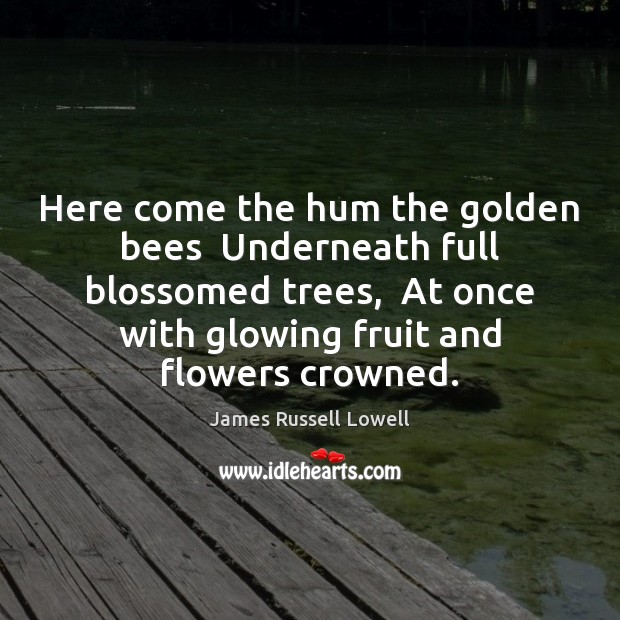 Here come the hum the golden bees  Underneath full blossomed trees,  At Image