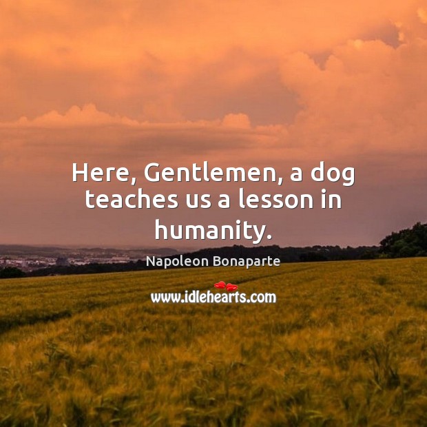 Here, Gentlemen, a dog teaches us a lesson in humanity. Napoleon Bonaparte Picture Quote