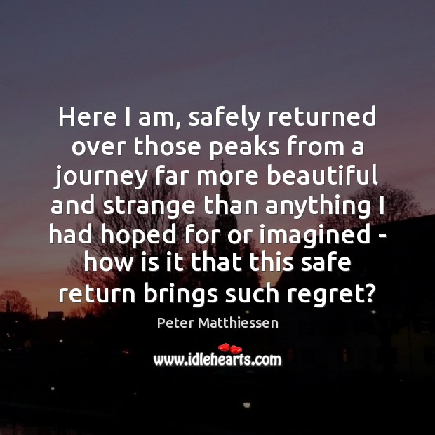 Here I am, safely returned over those peaks from a journey far Peter Matthiessen Picture Quote