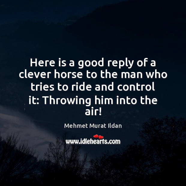 Here is a good reply of a clever horse to the man Mehmet Murat Ildan Picture Quote