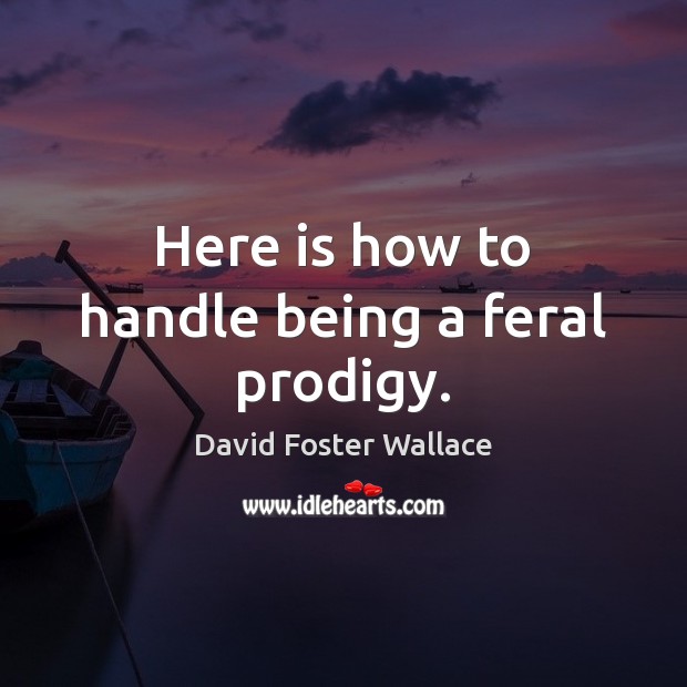 Here is how to handle being a feral prodigy. David Foster Wallace Picture Quote