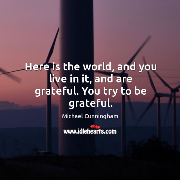 Here is the world, and you live in it, and are grateful. You try to be grateful. Be Grateful Quotes Image
