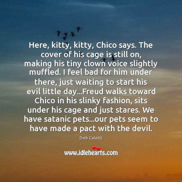 Here, kitty, kitty, Chico says. The cover of his cage is still Image