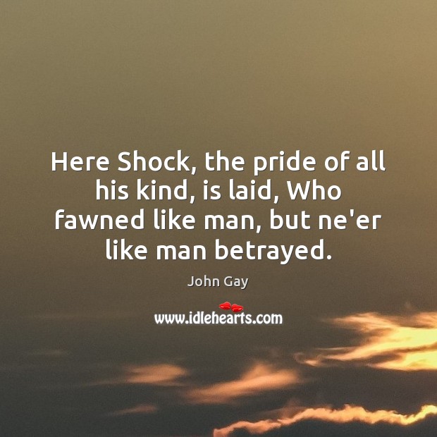 Here Shock, the pride of all his kind, is laid, Who fawned John Gay Picture Quote