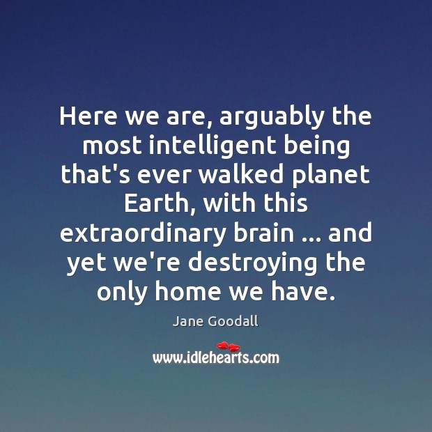 Here we are, arguably the most intelligent being that’s ever walked planet Jane Goodall Picture Quote