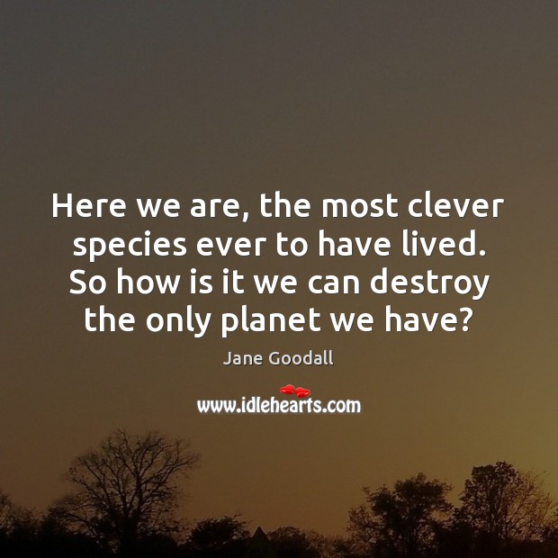 Here we are, the most clever species ever to have lived. So Clever Quotes Image