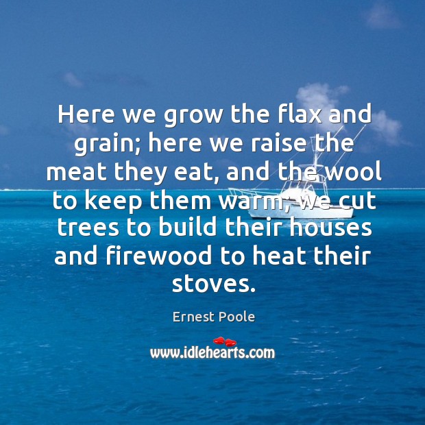Here we grow the flax and grain; here we raise the meat they eat Image