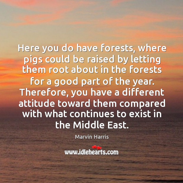 Here you do have forests, where pigs could be raised by letting them Marvin Harris Picture Quote