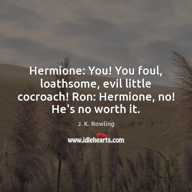 Hermione: You! You foul, loathsome, evil little cocroach! Ron: Hermione, no! He’s J. K. Rowling Picture Quote