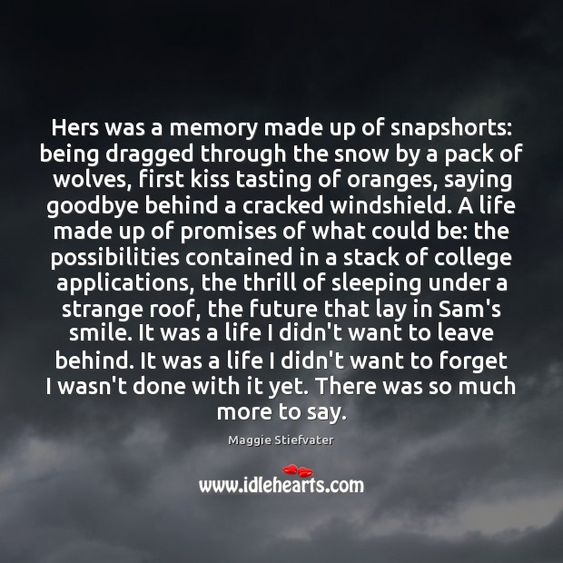 Hers was a memory made up of snapshorts: being dragged through the Image