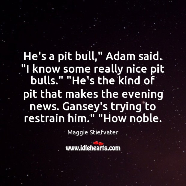 He’s a pit bull,” Adam said. “I know some really nice pit Maggie Stiefvater Picture Quote