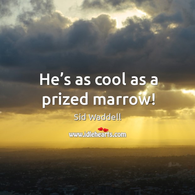 He’s as cool as a prized marrow! Cool Quotes Image