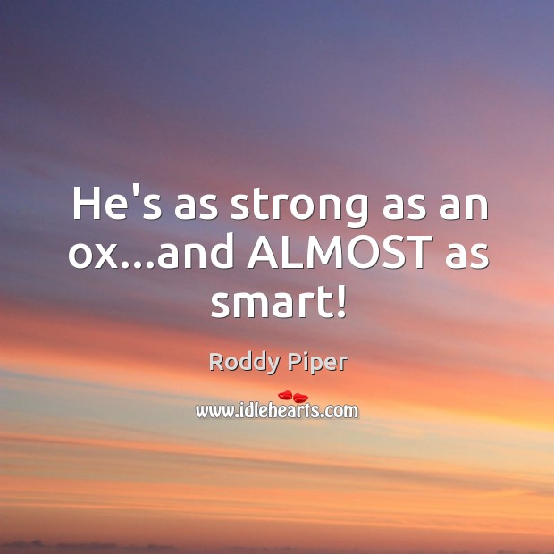 He’s as strong as an ox…and ALMOST as smart! Roddy Piper Picture Quote