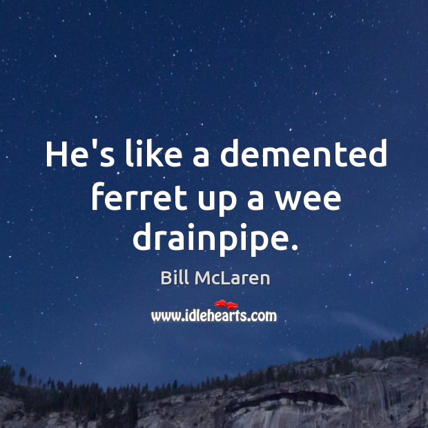 He’s like a demented ferret up a wee drainpipe. Bill McLaren Picture Quote