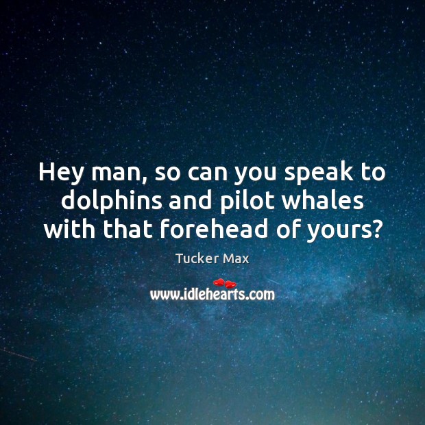 Hey man, so can you speak to dolphins and pilot whales with that forehead of yours? Tucker Max Picture Quote