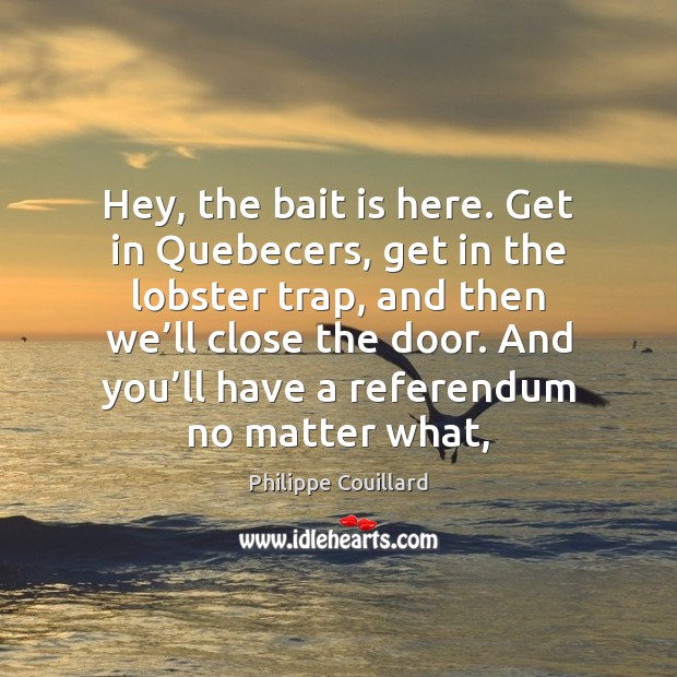 Hey, the bait is here. Get in Quebecers, get in the lobster 
