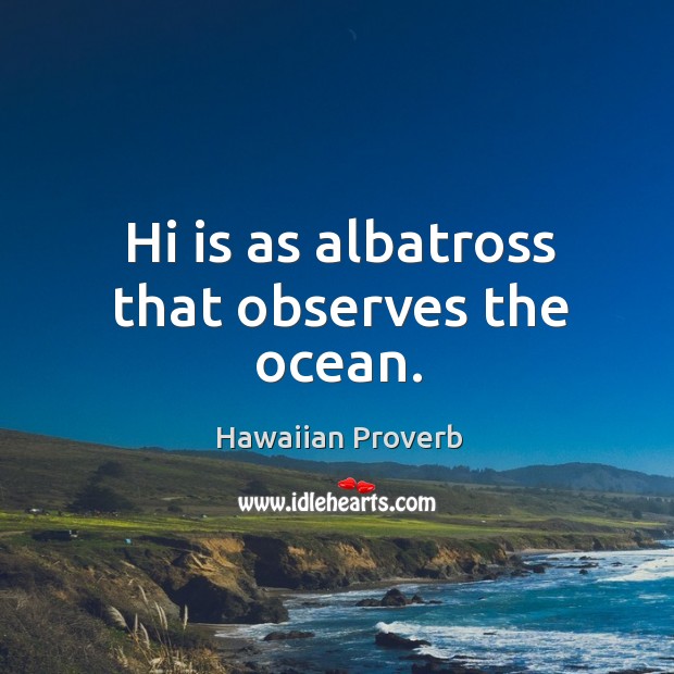 Hi is as albatross that observes the ocean. Hawaiian Proverbs Image