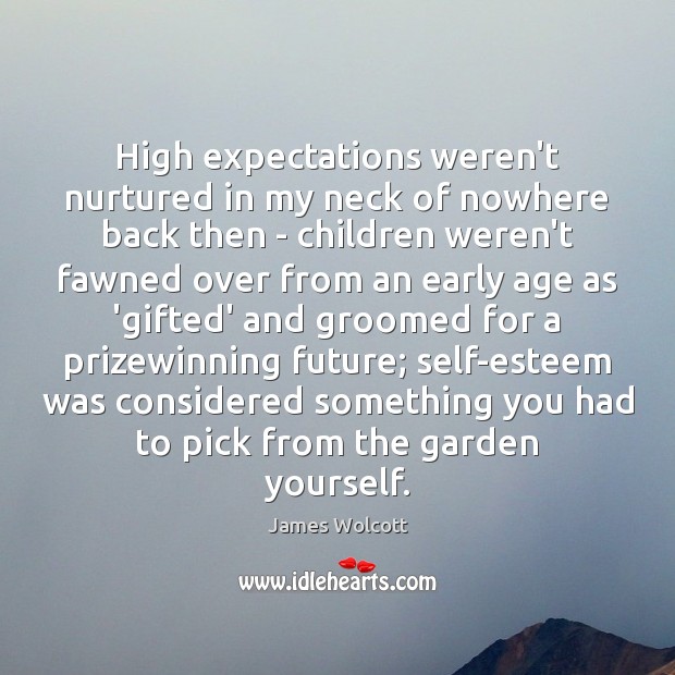 High expectations weren’t nurtured in my neck of nowhere back then – James Wolcott Picture Quote