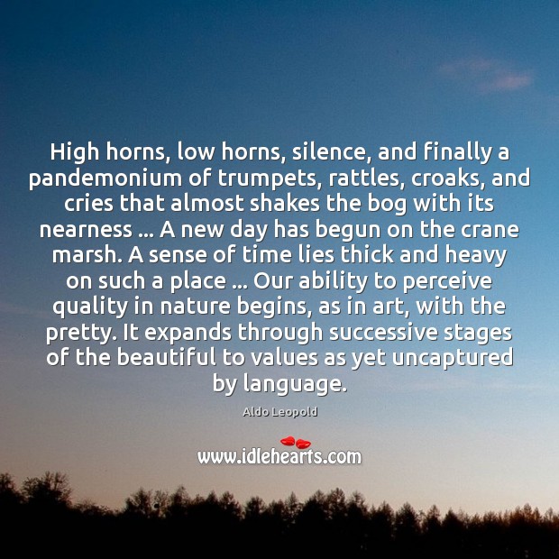 High horns, low horns, silence, and finally a pandemonium of trumpets, rattles, Image