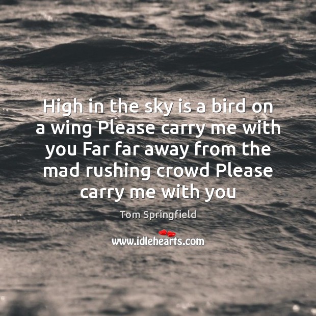 High in the sky is a bird on a wing Please carry Tom Springfield Picture Quote