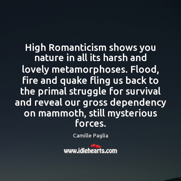 High Romanticism shows you nature in all its harsh and lovely metamorphoses. Camille Paglia Picture Quote