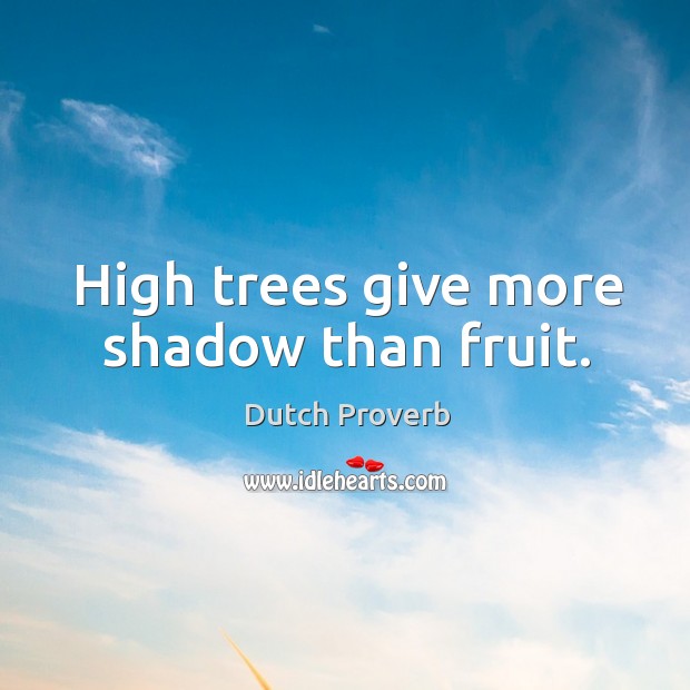 High trees give more shadow than fruit. Dutch Proverbs Image