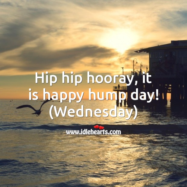 Hip hip hooray, it is happy hump day! (Wednesday) Wednesday Quotes Image