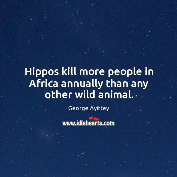 Hippos kill more people in Africa annually than any other wild animal. George Ayittey Picture Quote