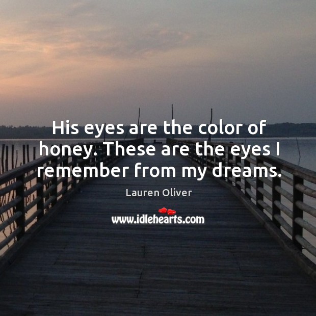 His eyes are the color of honey. These are the eyes I remember from my dreams. Image