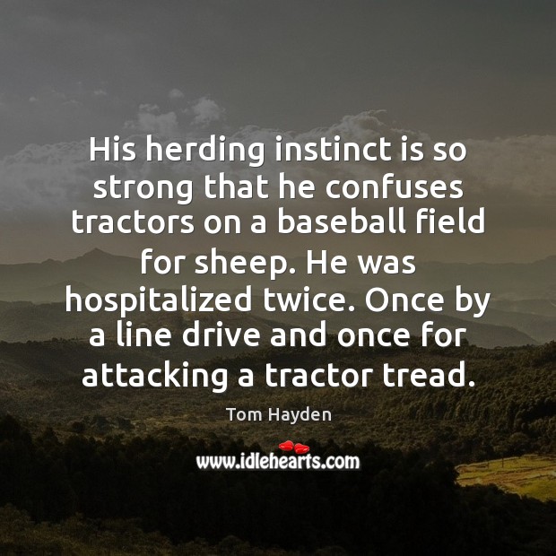 His herding instinct is so strong that he confuses tractors on a Tom Hayden Picture Quote