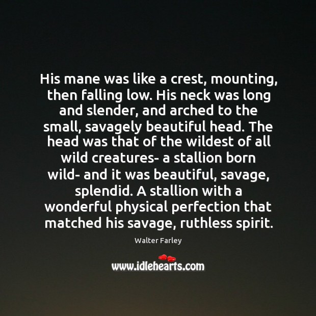 His mane was like a crest, mounting, then falling low. His neck Image