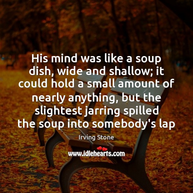 His mind was like a soup dish, wide and shallow; it could Irving Stone Picture Quote