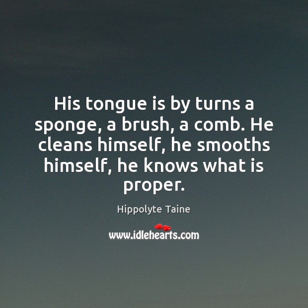 His tongue is by turns a sponge, a brush, a comb. He Hippolyte Taine Picture Quote