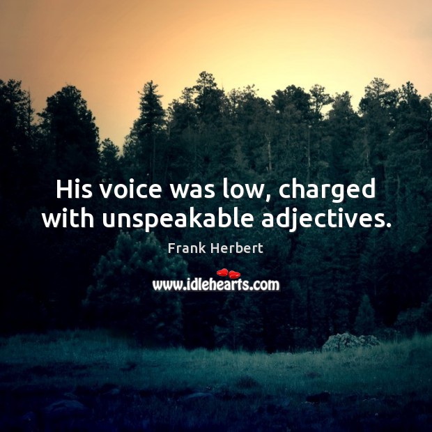 His voice was low, charged with unspeakable adjectives. 