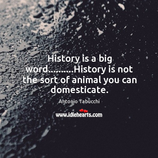 History is a big word……….History is not the sort of animal you can domesticate. Antonio Tabucchi Picture Quote